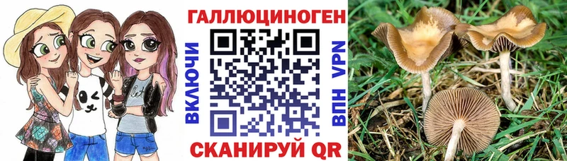 Галлюциногенные грибы Psilocybe  Орлов 