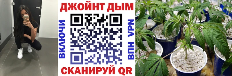 Бошки марихуана сатива  сколько стоит  Орлов 